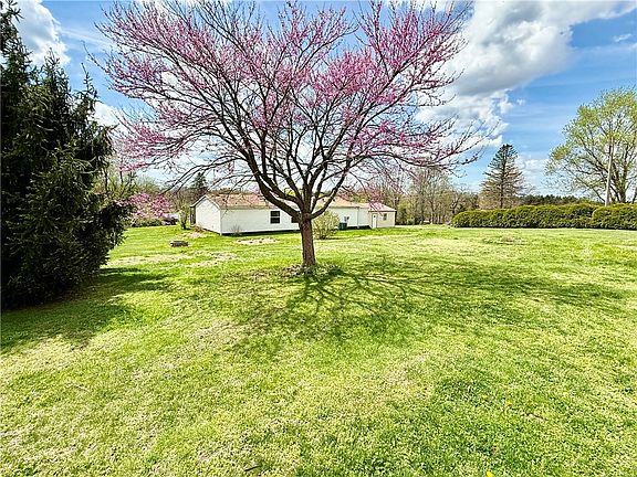 4th image of 105 Reed Ln