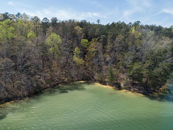 Image 2: Wooded Acreage