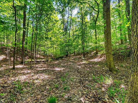 41st image of 635 Seven Mile Ridge Rd