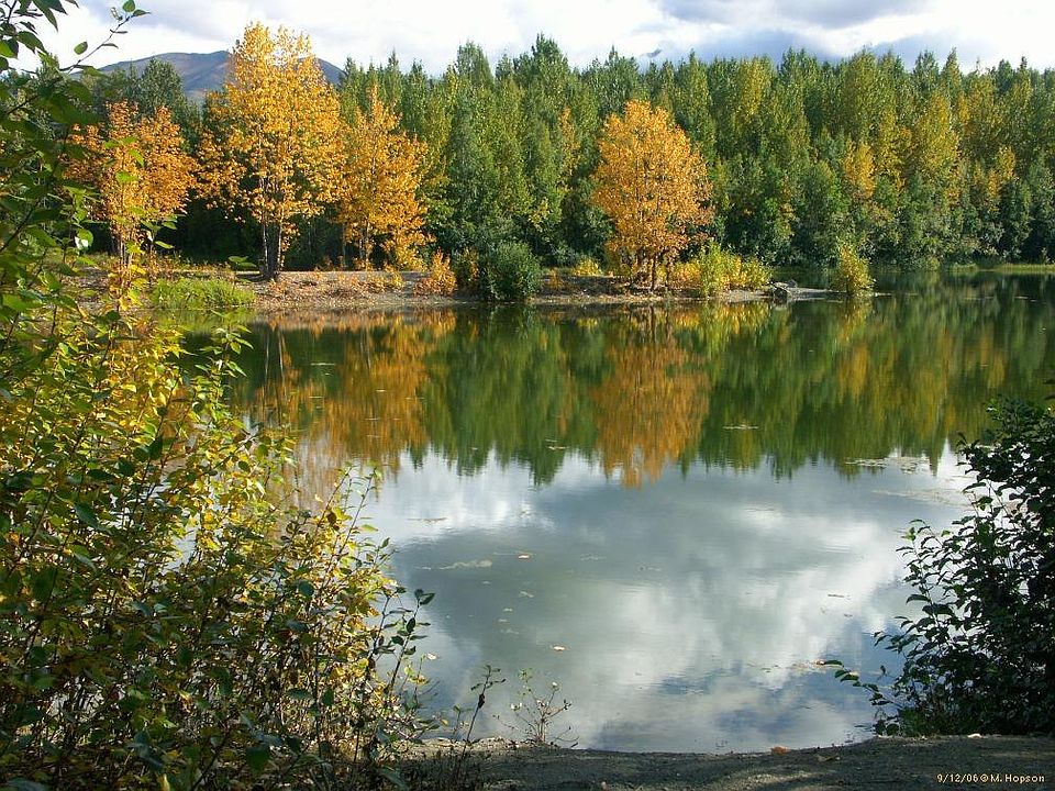 Cheney Lake in Summer