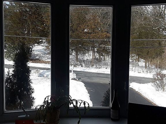 Winter view- master BR