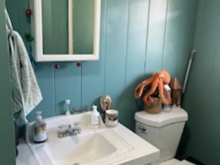 158A Makawao St #B — Photo 16
