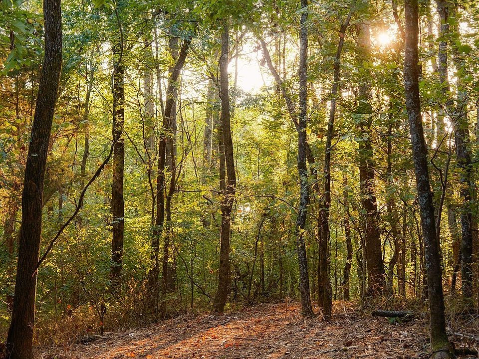 73rd image of 3685 Martin Ervin Rd