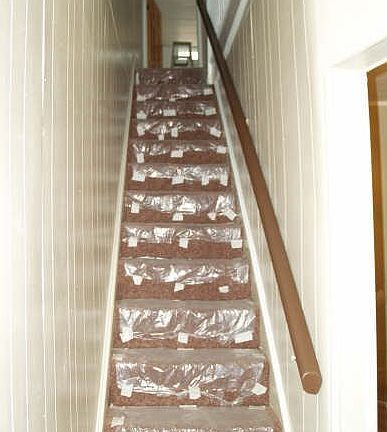 New Carpet throughout