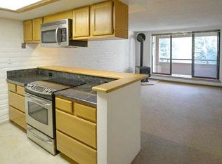 226 Vine St, Aspen, CO 81611