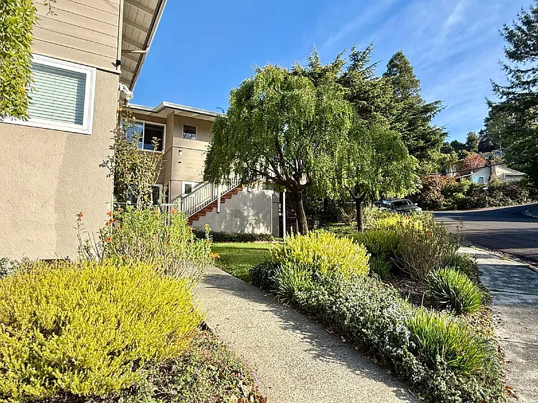 100 Belvedere Dr #7 — Photo 14