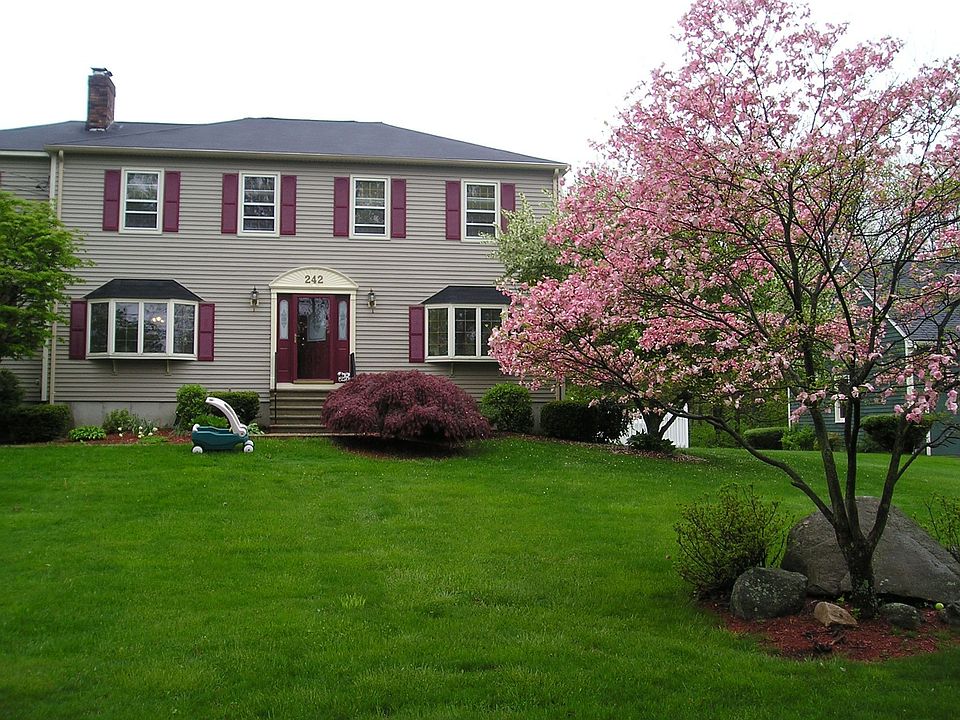 Front View