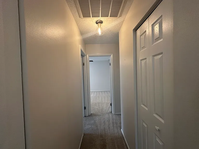 314 Thalia Station Ct — Photo 10