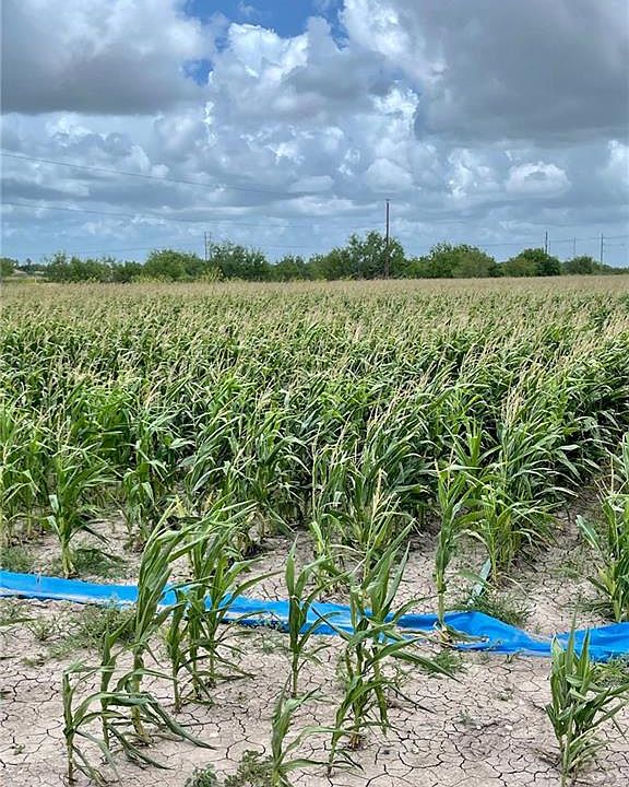 2nd image of N Gonzalez Rd