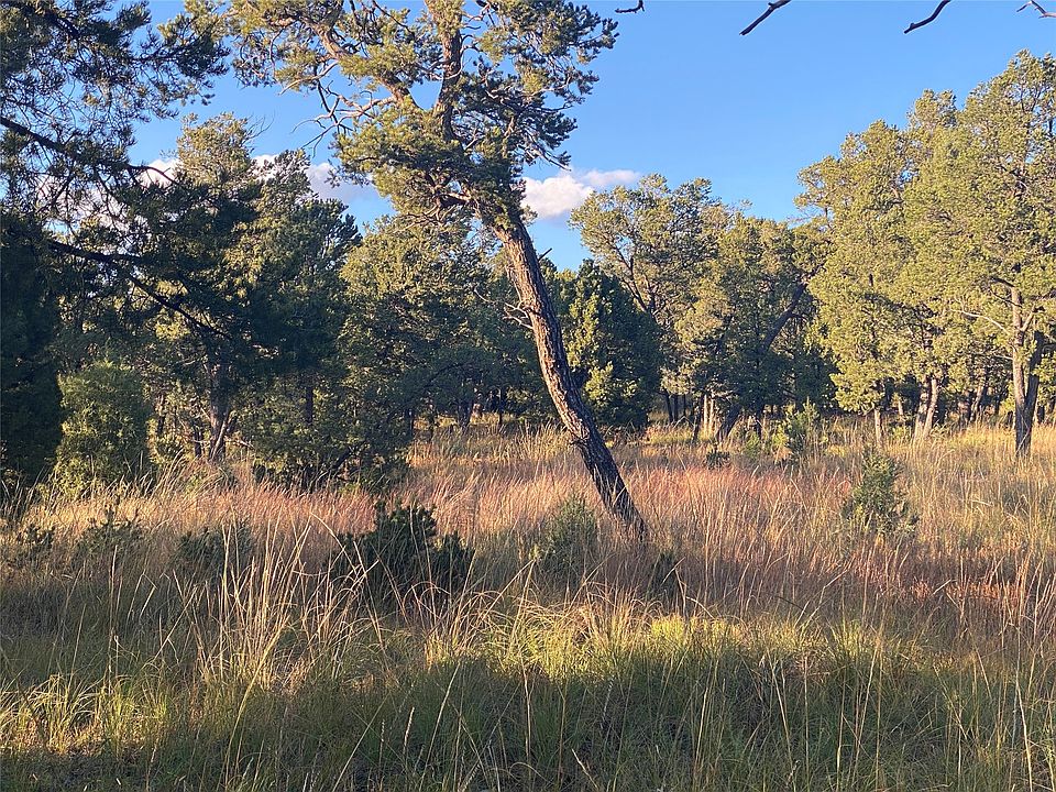 2nd image of 15 Wild Wing Cir