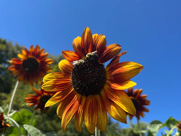 137 West Rd — Photo 12