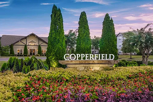 Copperfield Photo 1