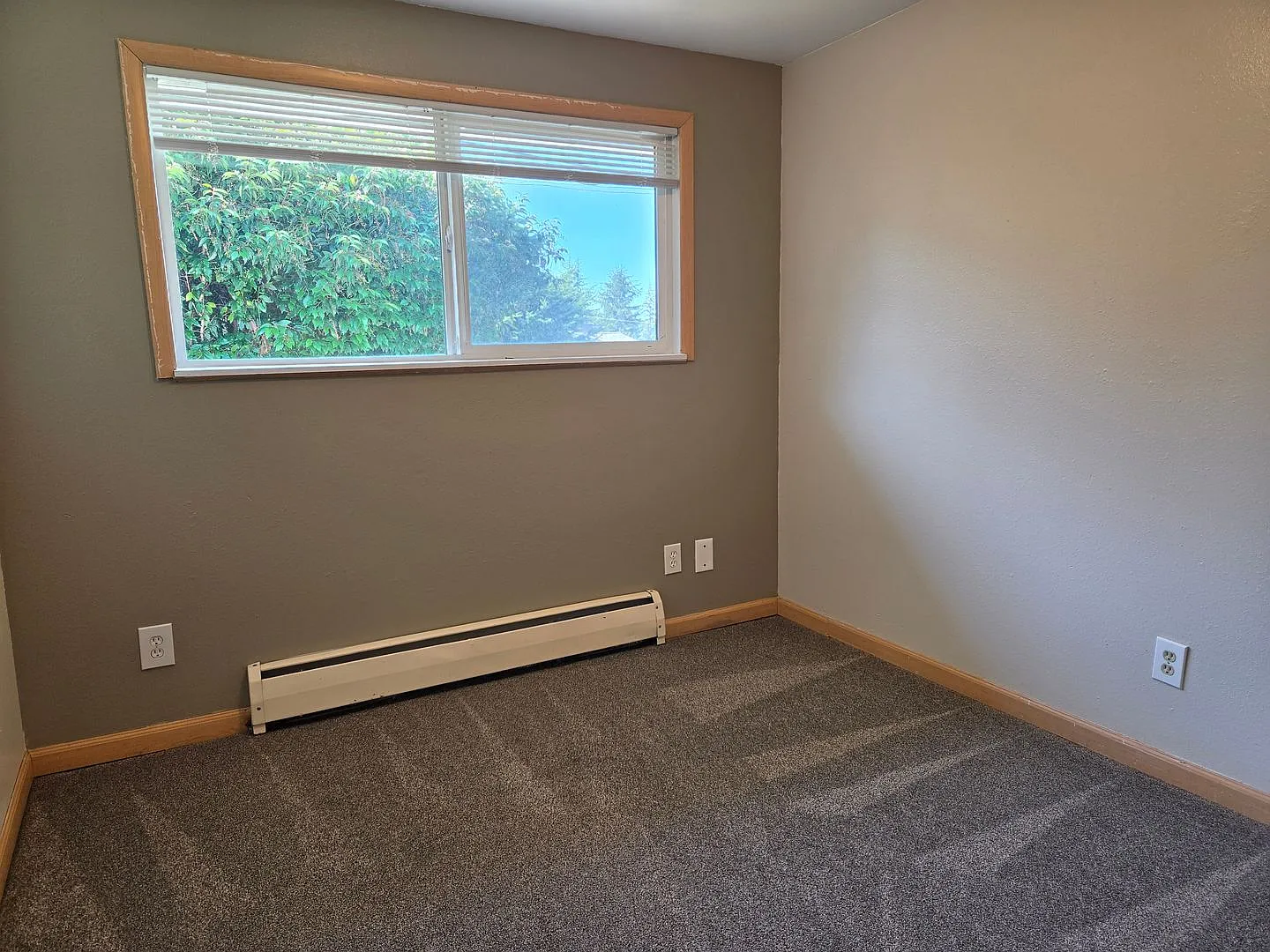 3405 Alabama Street — Photo 4