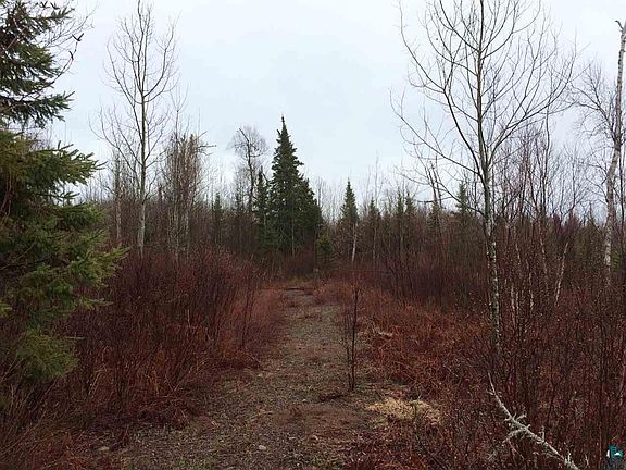 2nd image of 9XXX Gunflint Tr