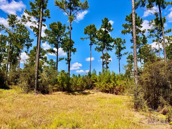 1 Morgan Ln, Molino, FL 32577