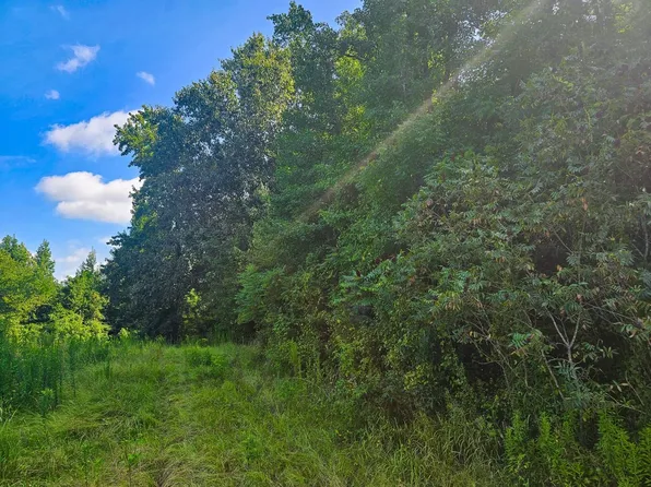 0 S Highway 71, Lockesburg, AR 71846