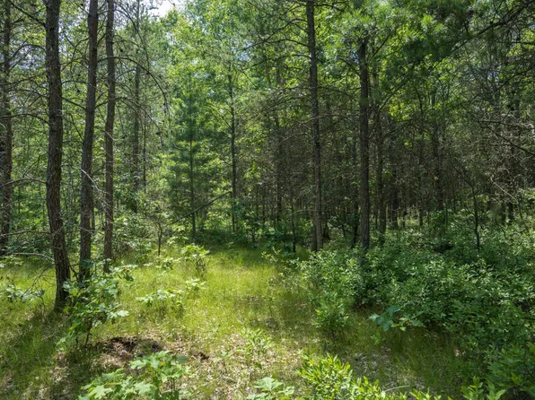 LOT 5 17th Ave, Necedah, WI 54646