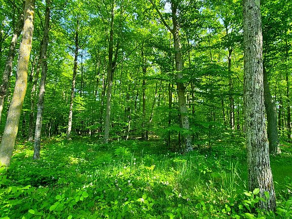 5th image of 4499 Winesap Ct