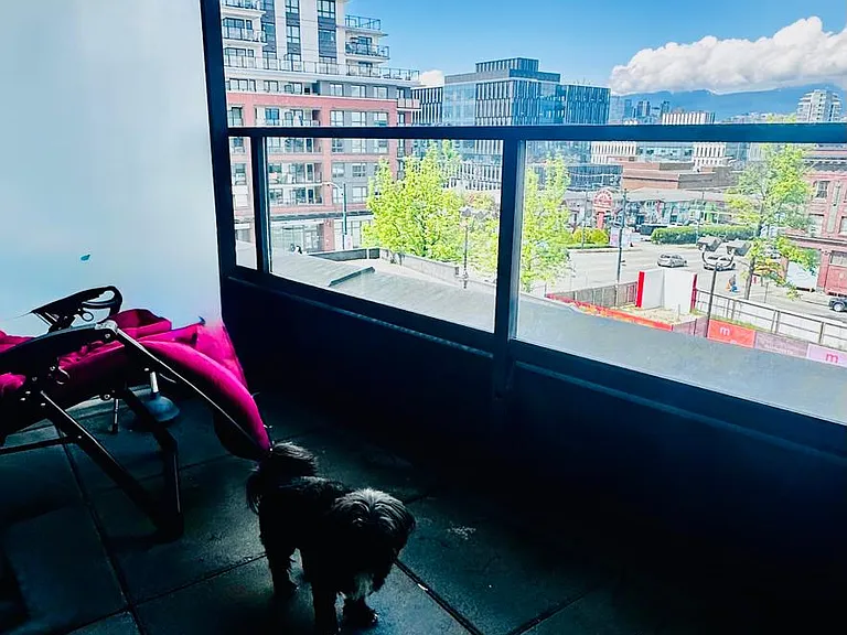 209 E 7th Ave #406 — Photo 6
