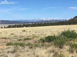 1637 Garfield Rd, Hartsel, CO 80449