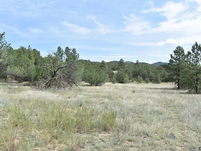 Tbd M Path, Cotopaxi, CO, 81223
