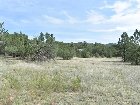 Tbd M Path, Cotopaxi, CO 81223