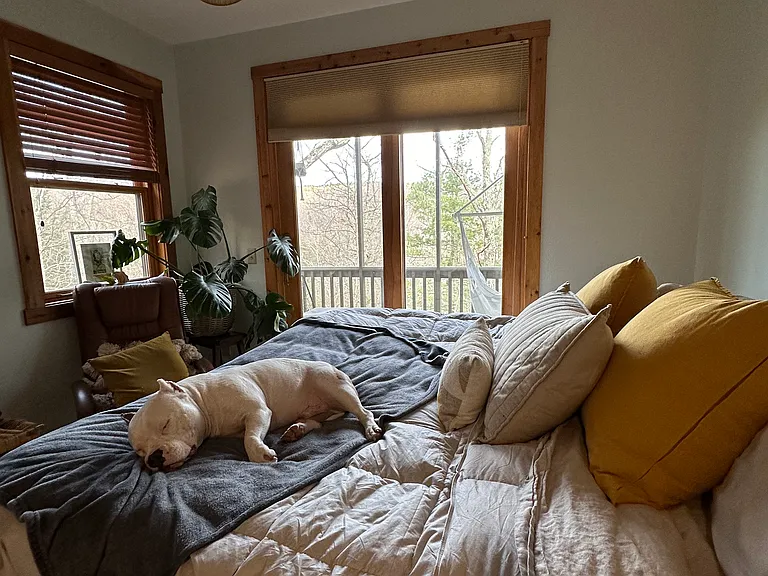 11803 Lovers Leap Rd — Photo 10