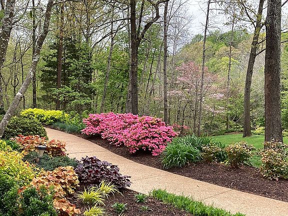 4th image of 2021 Huntcliff Dr
