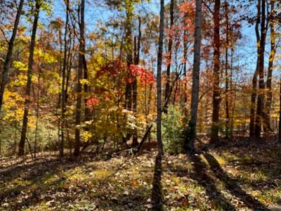 LOT 48 Gap Bridge Rd, Moneta, VA, 24121