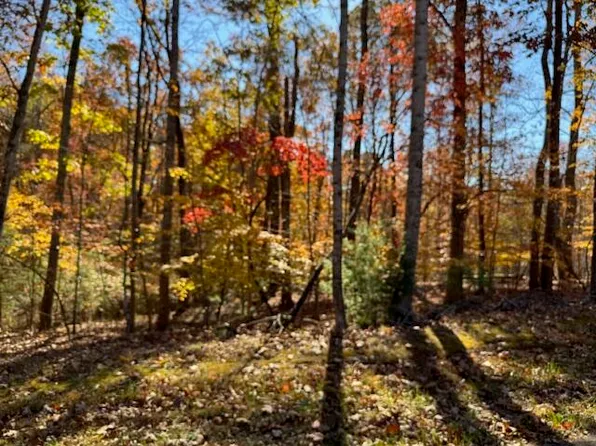 LOT 48 Gap Bridge Rd, Moneta, VA 24121