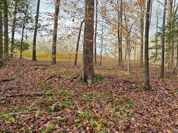 39 Maplewood Ln, Bracey, VA 23919