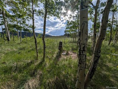 2433 Petito Drive, Fort Garland, CO, 81133