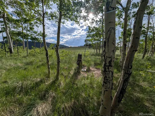 2433 Petito Drive, Fort Garland, CO 81133