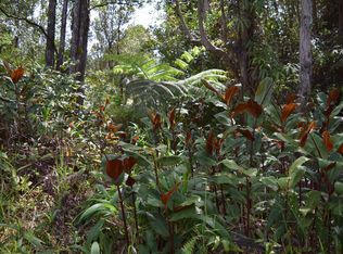 Road 1 LOT 37, Volcano, HI 96785