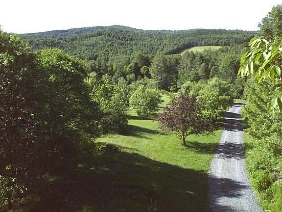 looking out at the driveway from one of the upstair's bedrooms.