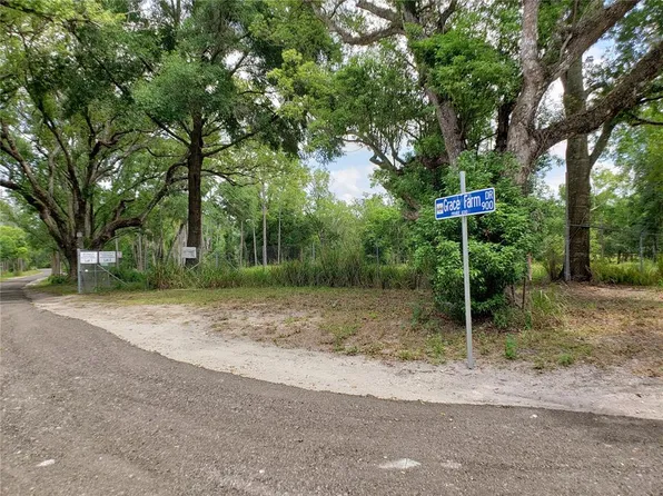 997 Grace Farm Dr #3, Lutz, FL 33549
