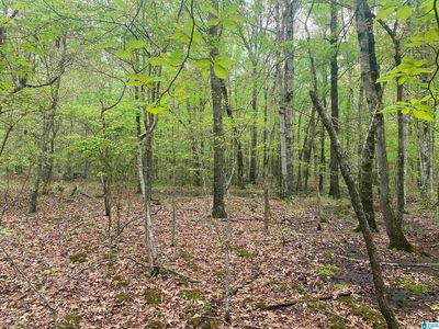 2499 Carter Grove Rd #1, Hazel Green, AL, 35750