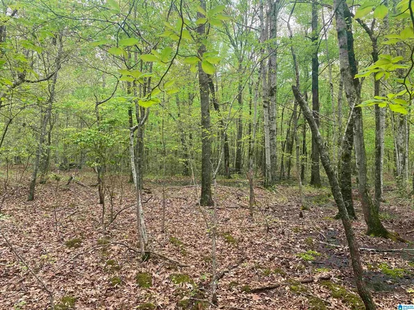 2499 Carter Grove Rd #1, Hazel Green, AL 35750