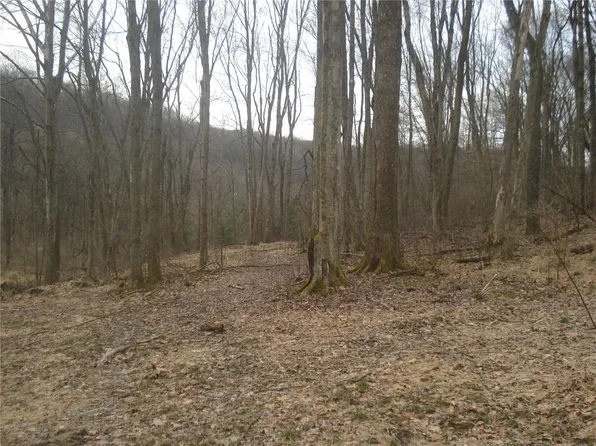 0 McDevitt Ln, Sewickley, PA 15143