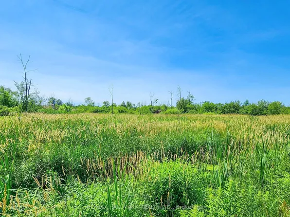 20200 Highway 48, East Gwillimbury, ON L0G 1M0