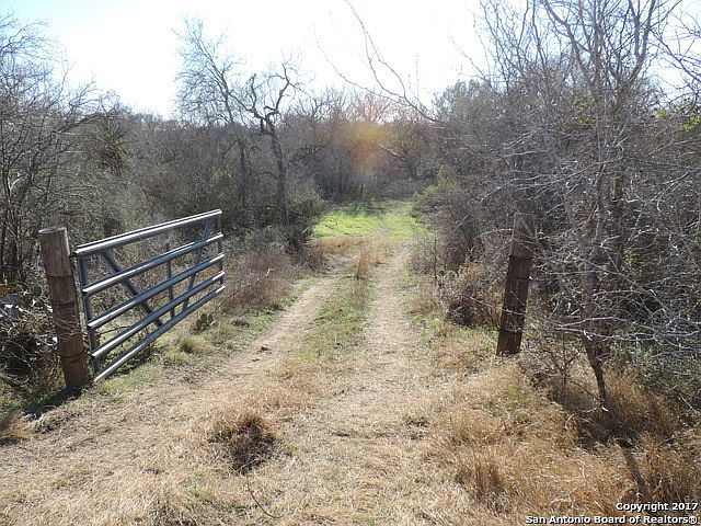 1st image of 22 ACRES CR 128 - River Bottom