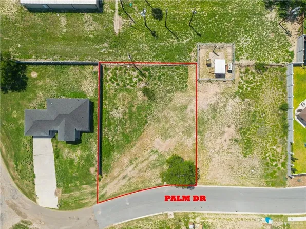 220 N Palm Dr, La Joya, TX 78560