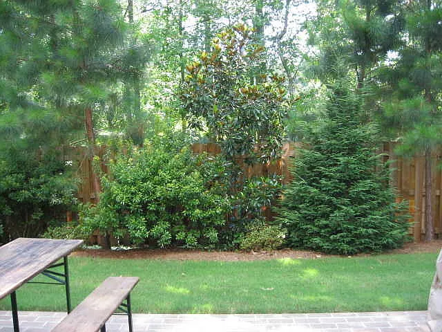 42 Star Spangled Ln — Photo 14