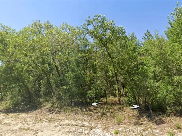 SW Rainbow Lakes Blvd Lot 34, Dunnellon, FL 34431