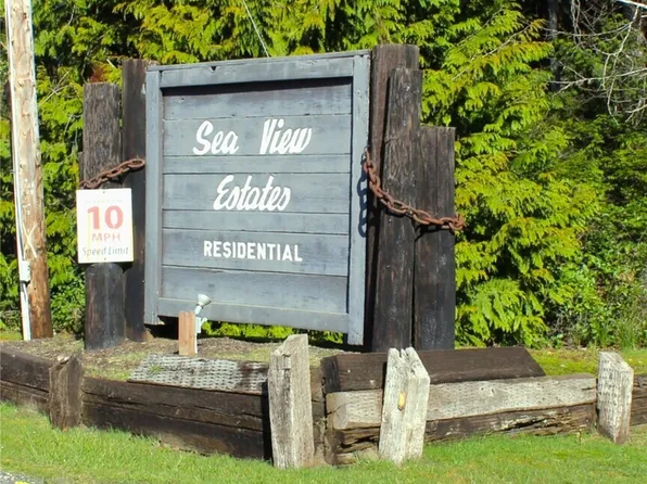 43 Dolphin Lane, Copalis Beach, WA 98535