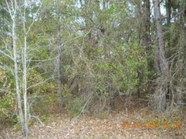 2320 Barn Owl St, Sebring, FL 33870