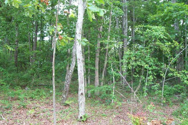 2nd image of Lot 160 Ashbury