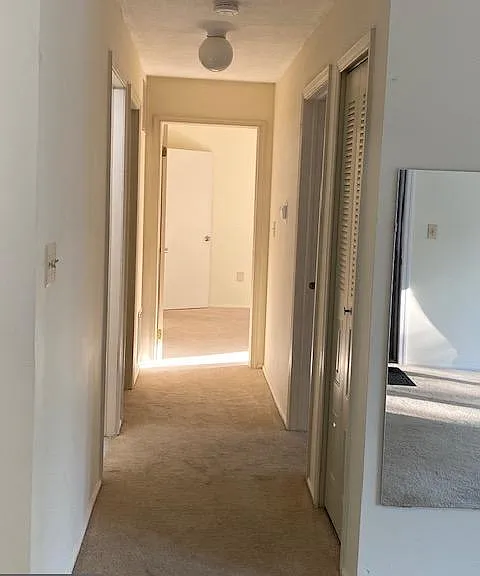 39 Mulberry Ct — Photo 10