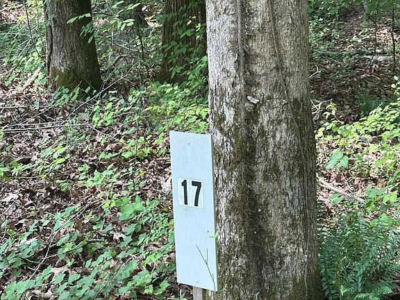 4th image of Lot 17 Lakeshore Estates Drive