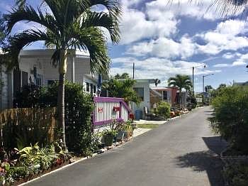 Looking South 